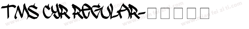 tms cyr regular字体转换